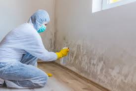 Professional Mold Removal Services in Malakoff, TX